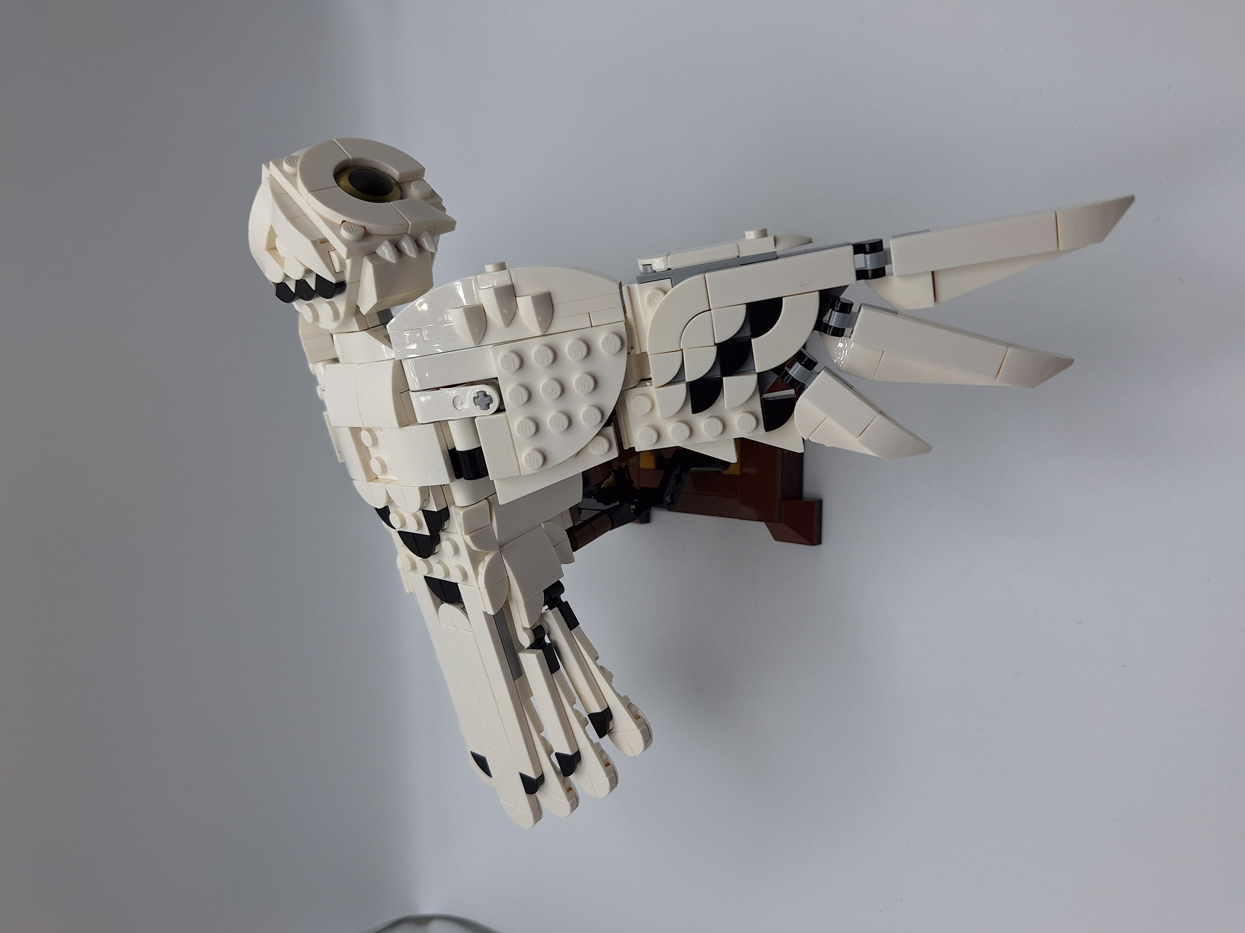 LEGO® Harry Potter Hedwig™ #75979 